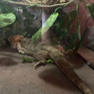 Meet your Posher, Mieko